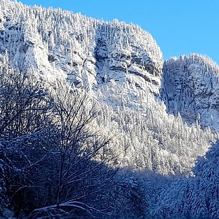 Le Bouquetin Daire Entremont Dış mekan fotoğraf