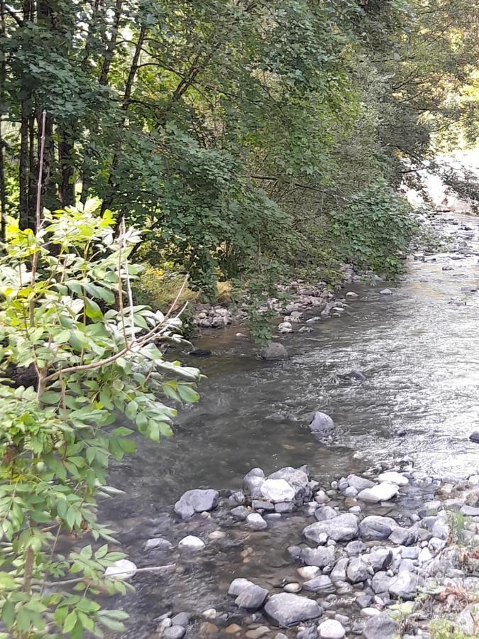 Le Bouquetin Daire Entremont Dış mekan fotoğraf